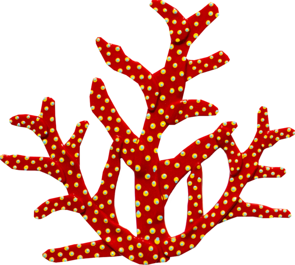 Coral Tree - Red